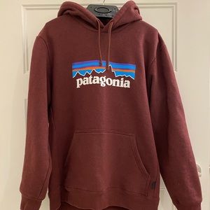 Men’s Patagonia P-6 Logo Hoody